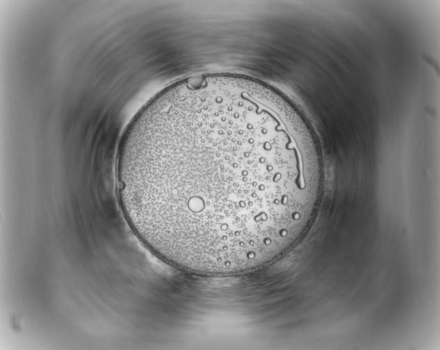 X0000099551294200805301513