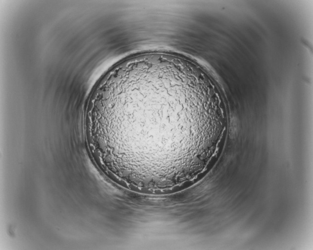 X0000099551295200805301513