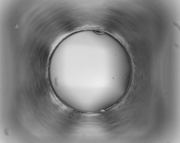 X0000099551296200805301513