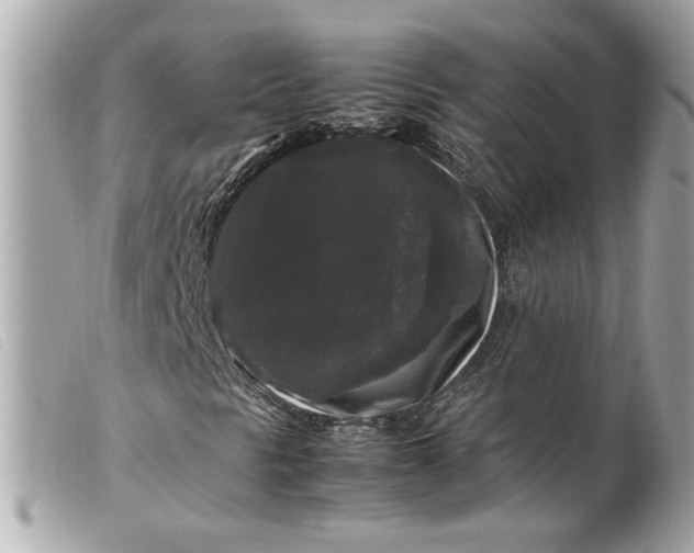 X0000099551297200805301512