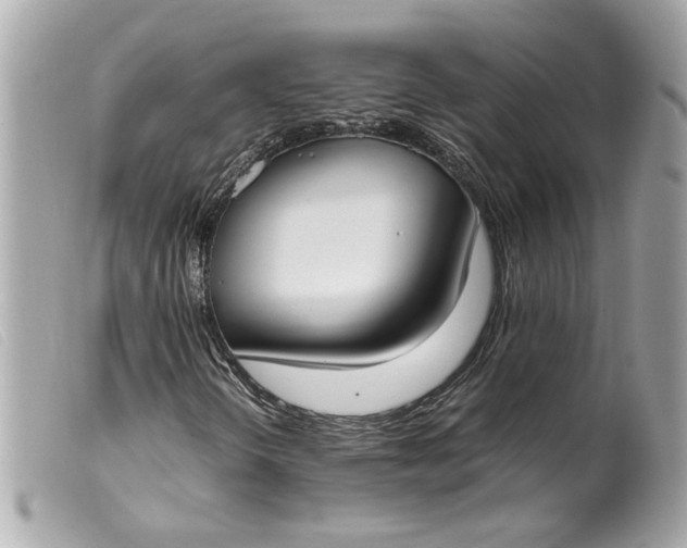 X0000099551298200805301512