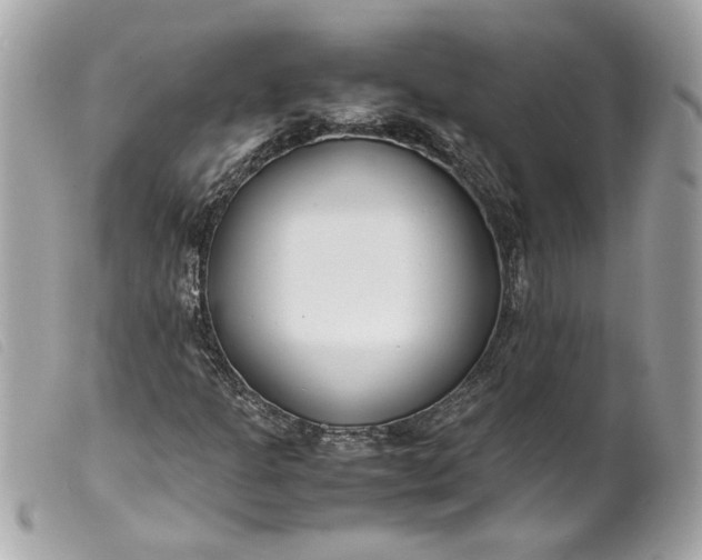 X0000099551301200805301513