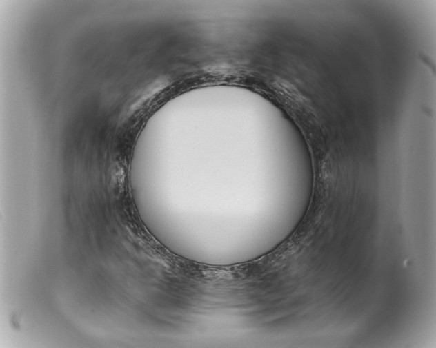 X0000099551302200805301513