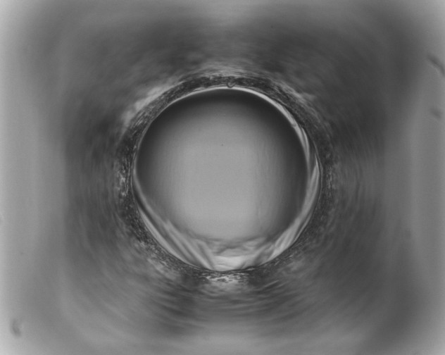 X0000099551303200805301513