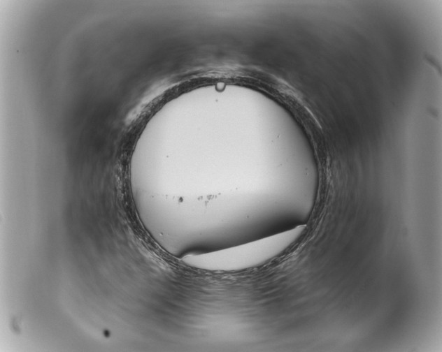 X0000099551304200805301513