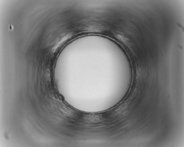 X0000099551307200805301513