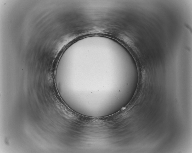 X0000099551308200805301513