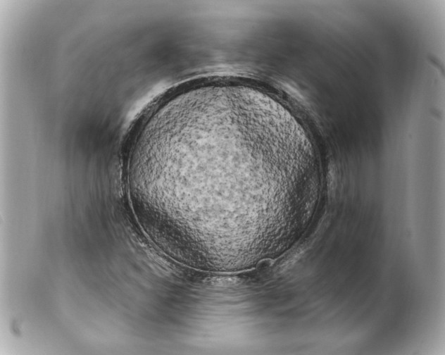 X0000099551310200805301513