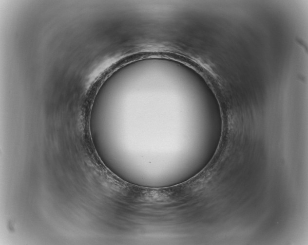 X0000099551311200805301513