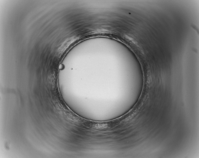 X0000099551313200805301513