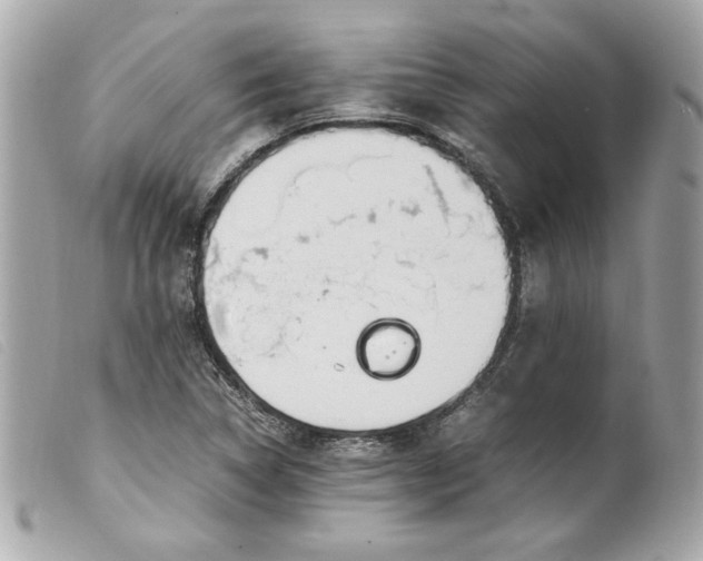 X0000099551314200805301513