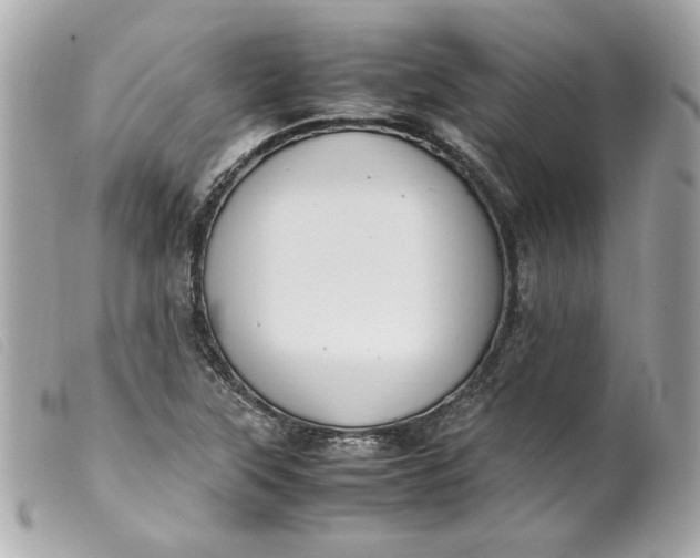 X0000099551315200805301513