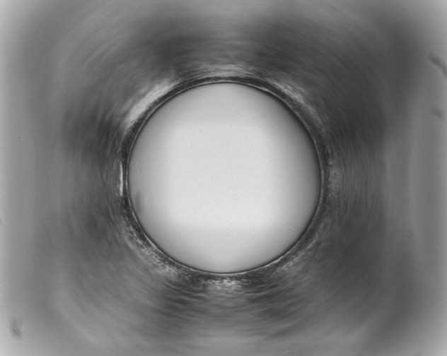 X0000099551317200805301513