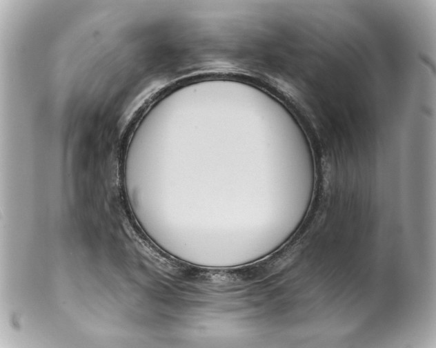 X0000099551318200805301513