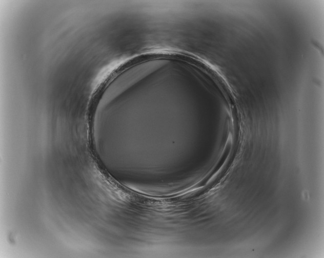 X0000099551319200805301513