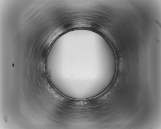 X0000099551321200805301513