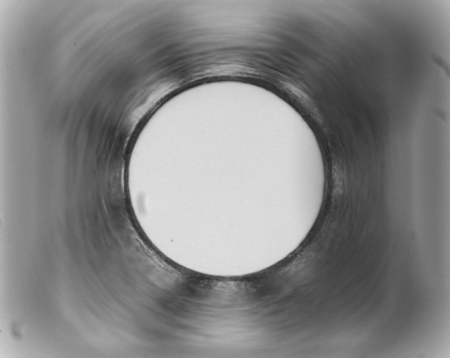 X0000099551322200805301513