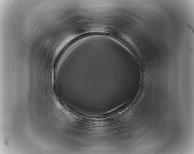 X0000099551323200805301513