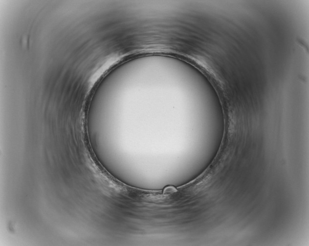 X0000099551325200805301513