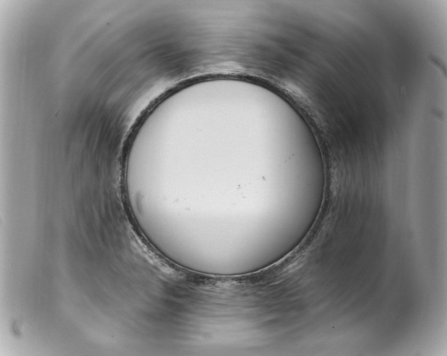 X0000099551326200805301513