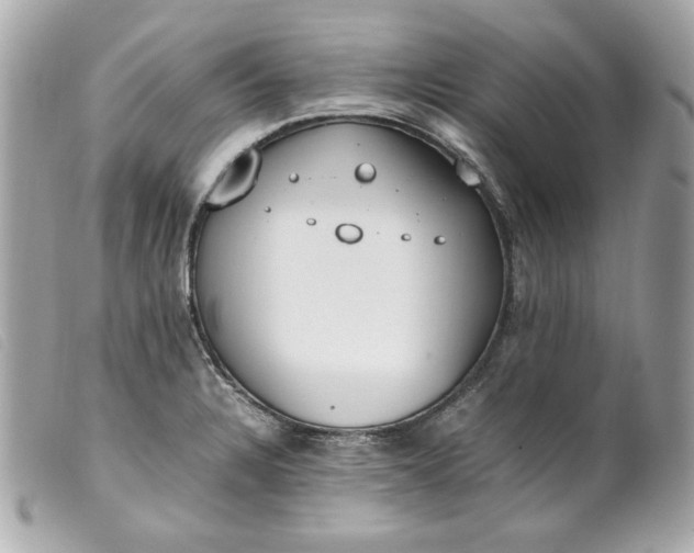 X0000099551328200805301513