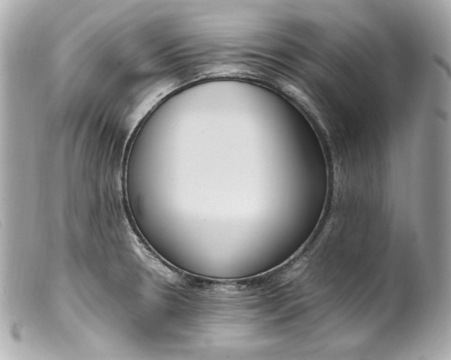 X0000099551330200805301513