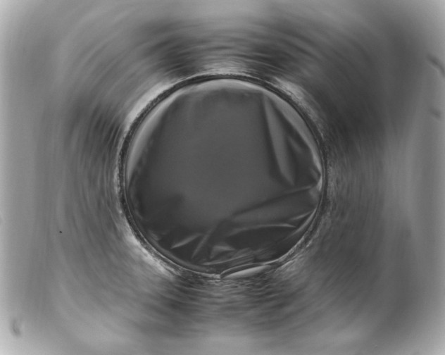 X0000099551331200805301513