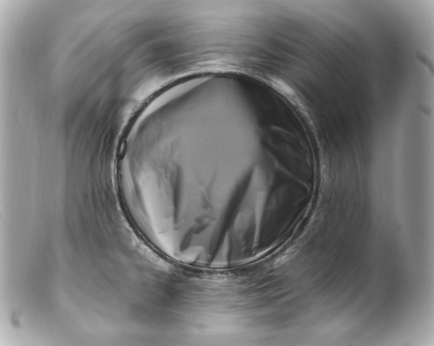 X0000099551334200805301513