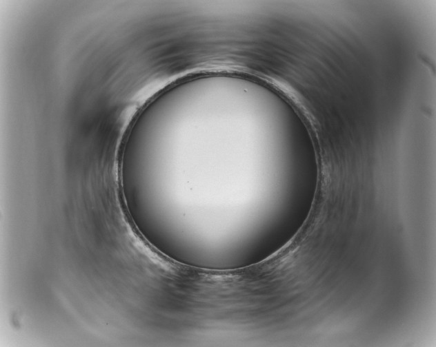 X0000099551335200805301513