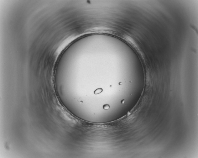 X0000099551336200805301513