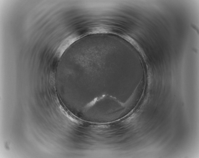 X0000099551337200805301513