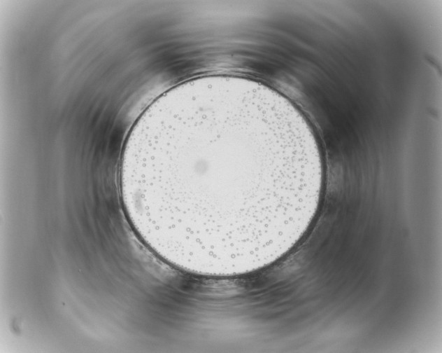 X0000099551338200805301513