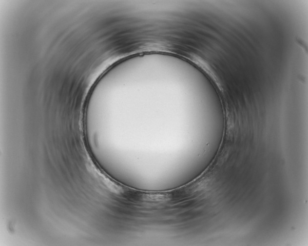 X0000099551339200805301513