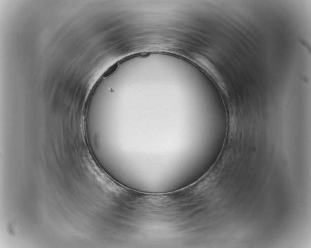 X0000099551340200805301513