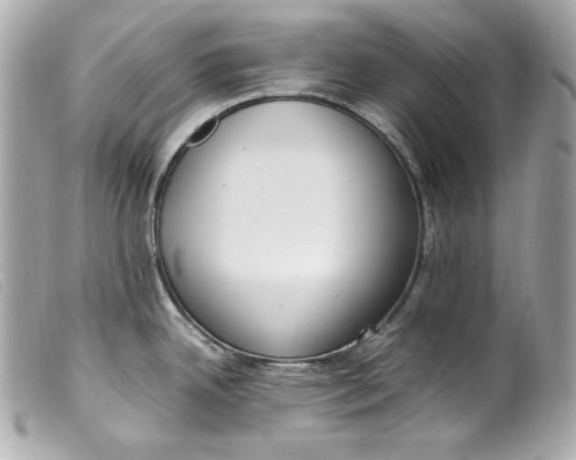 X0000099551342200805301513