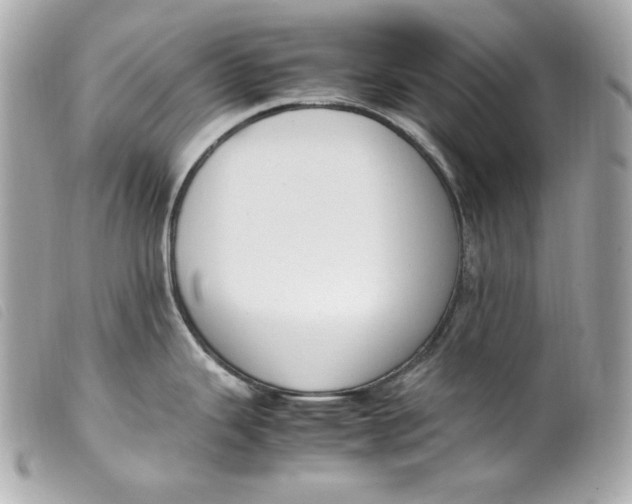 X0000099551343200805301513