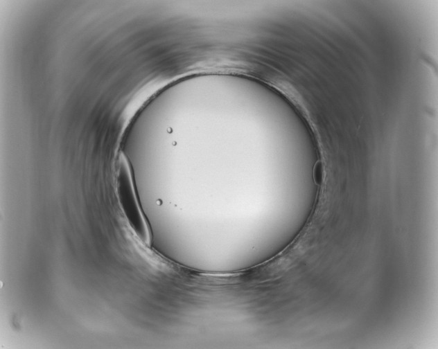 X0000099551344200805301513