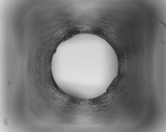 X0000099551345200805301512