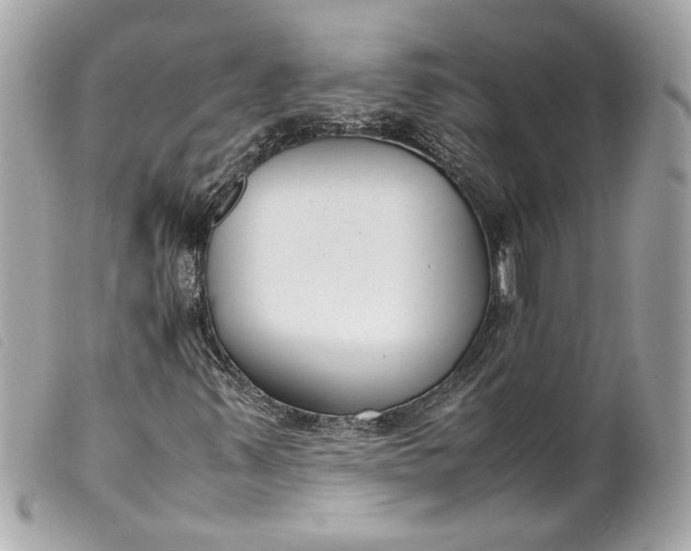 X0000099551347200805301512