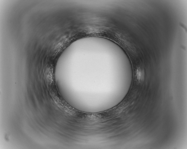 X0000099551348200805301512