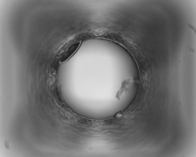 X0000099551349200805301512