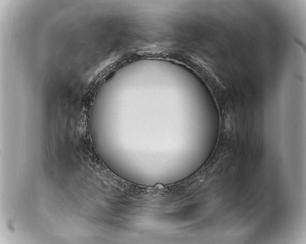 X0000099551350200805301512