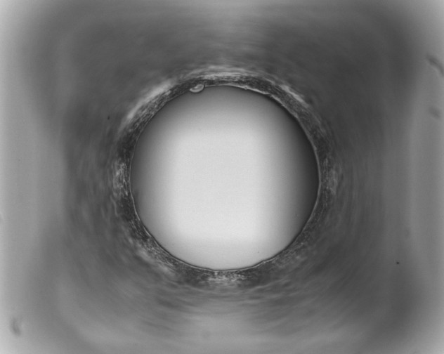 X0000099551351200805301512