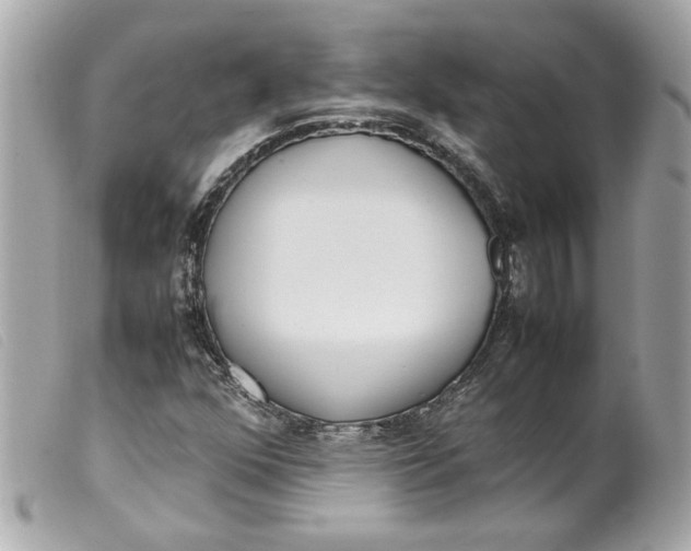 X0000099551352200805301512