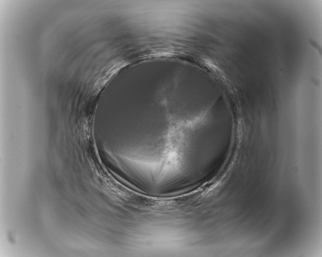 X0000099551353200805301512