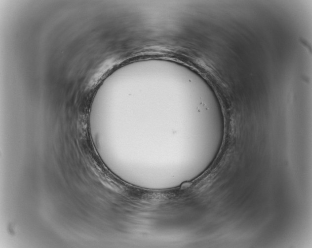 X0000099551355200805301512