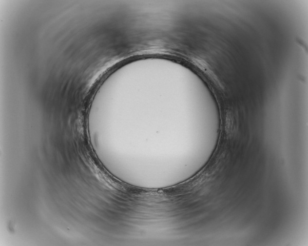 X0000099551356200805301512