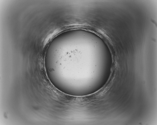 X0000099551357200805301512