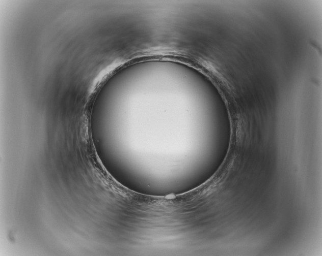 X0000099551358200805301512