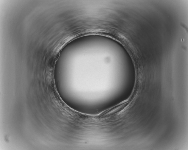 X0000099551361200805301512